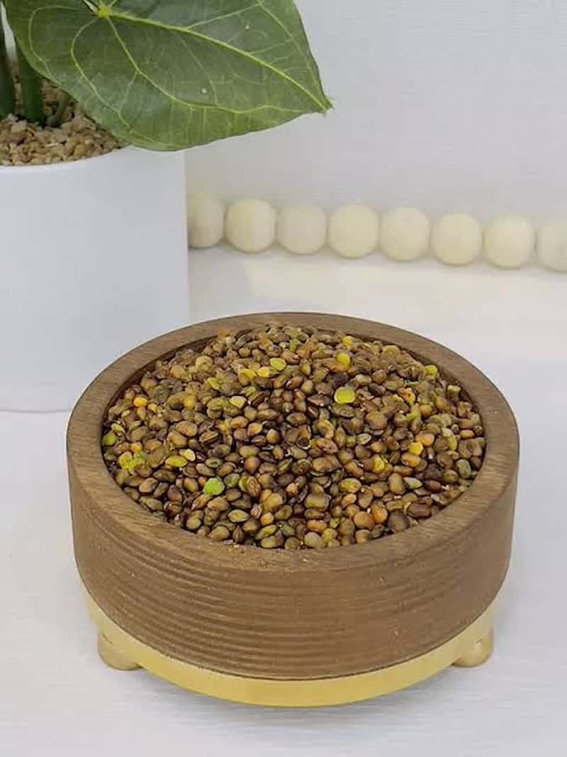 مغز پسته کوهی تازه با عطر اصیل و ارزش غذایی بالا